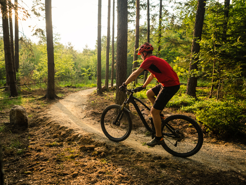 Mountain bike ride