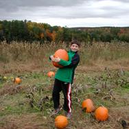 boy holding pumpkin in field