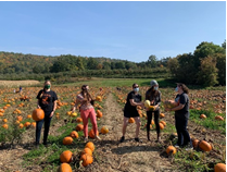 Adult Psychiatry Residents in a pumpkin field