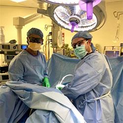 Urologists in Surgery