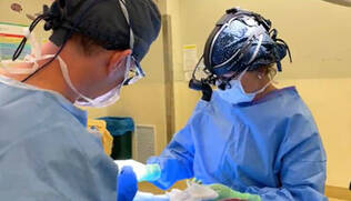 Otolaryngologists performing surgery
