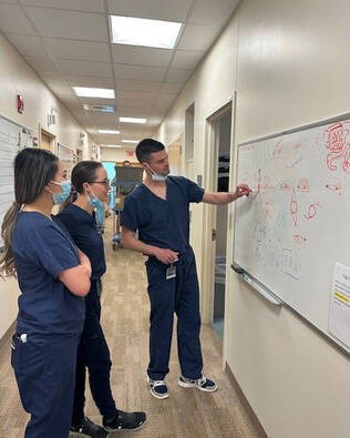 Providers teaching about Mohs