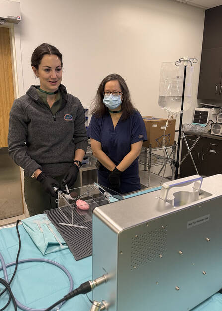 2026 URPS Fellow working in lab